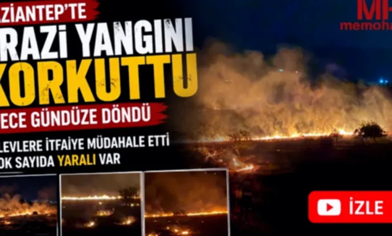 arazi yangını - Gaziantep Arazi Yangını Nefes Kesti