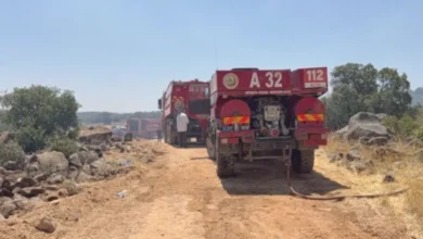 Gaziantep orman yangını - Gaziantep Orman Yangını: Dumanlar Dağıldı, Soğutma Sürüyor