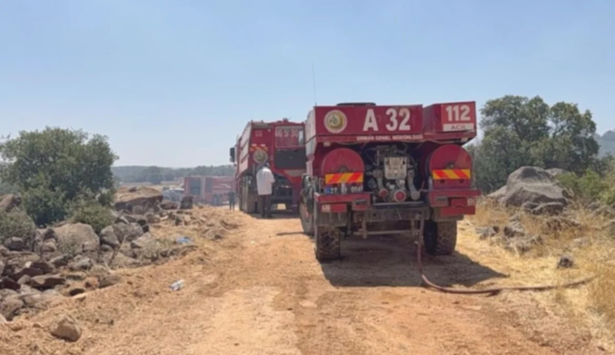 Gaziantep Orman Yangını: Dumanlar Dağıldı, Soğutma Sürüyor