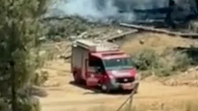 patlama paniği - Gaziantep Ormanlık Alanda Patlama Paniği