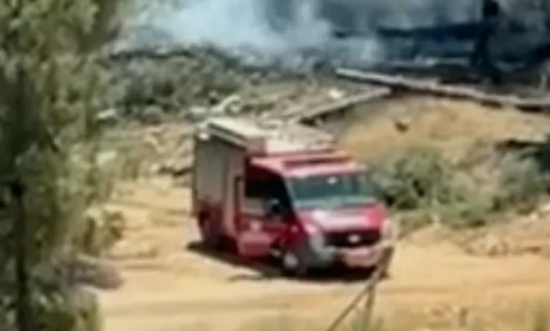 patlama paniği - Gaziantep Ormanlık Alanda Patlama Paniği