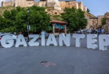 Gaziantep çekirge - Gaziantep'te Çekirge Nüfusu: Mizahla Karşılandı