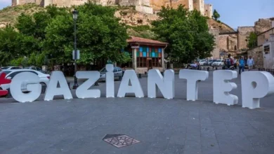 Gaziantep çekirge - Gaziantep'te Çekirge Nüfusu: Mizahla Karşılandı