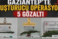 kenevir operasyonu - Gaziantep'te Kenevir Operasyonu: Kimler Hedefte?