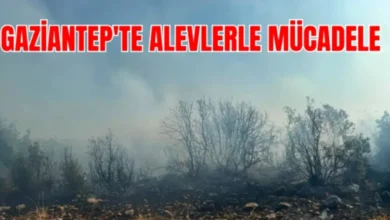 Gaziantep orman yangını - Gaziantep'te Orman Yangını: Meşelik Alan Kül Oldu