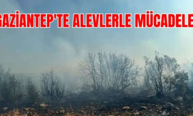 Gaziantep orman yangını - Gaziantep'te Orman Yangını: Meşelik Alan Kül Oldu