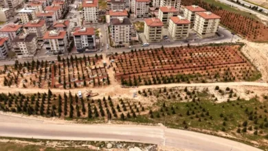 yeni yaşam - Gaziantep'te Yeni Yaşam: Hangi Bölgeler Öne Çıkıyor?
