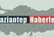 maganda paniği - Mahallede Silah Sesleri: Maganda Paniği