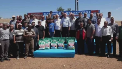 mısır tohumu - Mısır Tohumu Desteği: Kime Ne Kadar Yaradı?