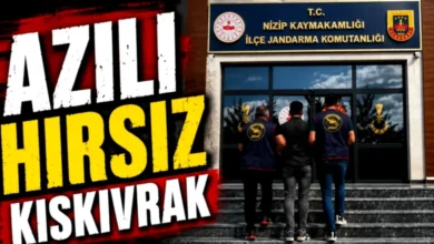 hırsızlık zanlısı - Nizip'te 'Hırsızlık' Zanlısı Yakalandı