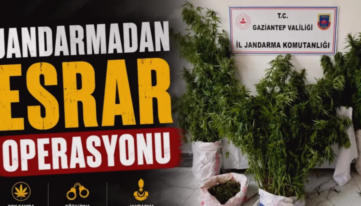 Nizip'te Kenevir Yetiştiriciliğine Darbe