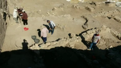 Oylum Höyük Kazıları - Oylum Höyük Kazıları: Tarihe Işık Tutuyor
