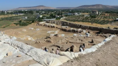 Oylum Höyük Hitit - Oylum Höyük'ten Tarihi Çıkacak: Yeni Buluşlar Kapıda