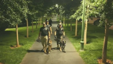 Parklarda Huzur Uygulaması - Parklarda Huzur Uygulaması: Ne Kadar Güvenli?