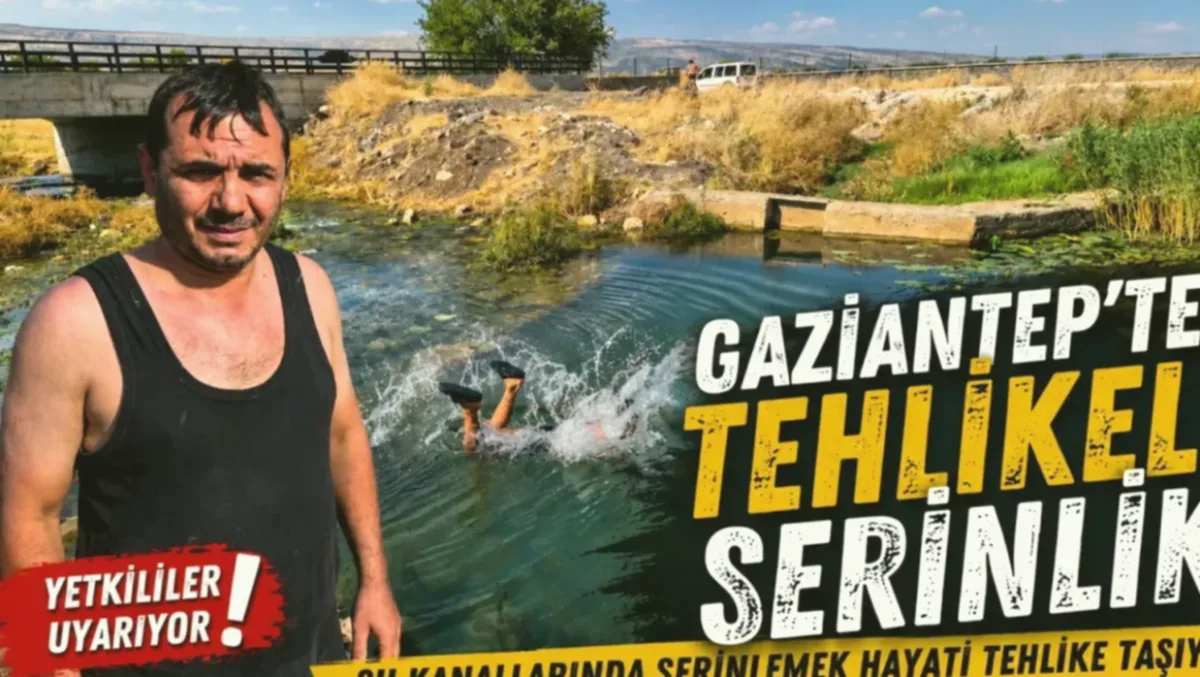 Riskli Serinleme Can Pazarı