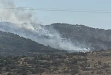 Gaziantep ağaçlık alan yangını - Sefaşehir'de Ağaçlık Alan Yangını Söndürüldü