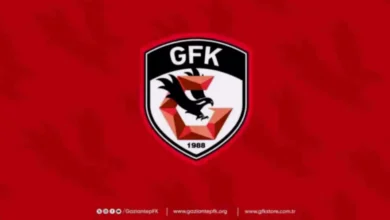 Sorescu Avrupa ilgi - Sorescu'ya Avrupa'dan Göz Kamaştıran İlgi