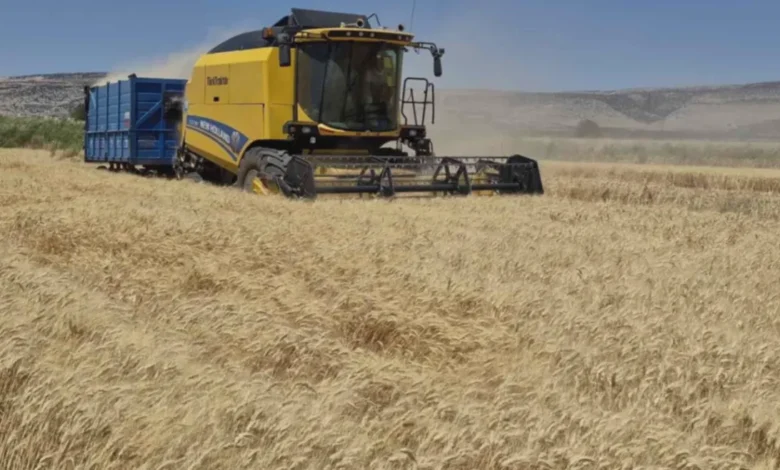 arpa buğday hasadı - Yavuzeli'nde Hasat Sevinci: Arpa ve Buğday Tarlaları Doldu