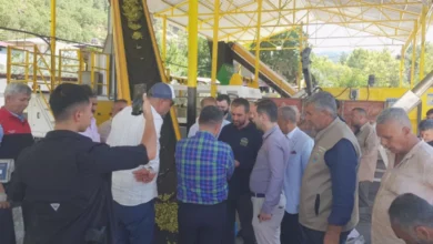 Antep Fıstığı İşleme - Antep Fıstığı İşleme: İslahiye'de Yeni Fıstık Tesisi Çift...