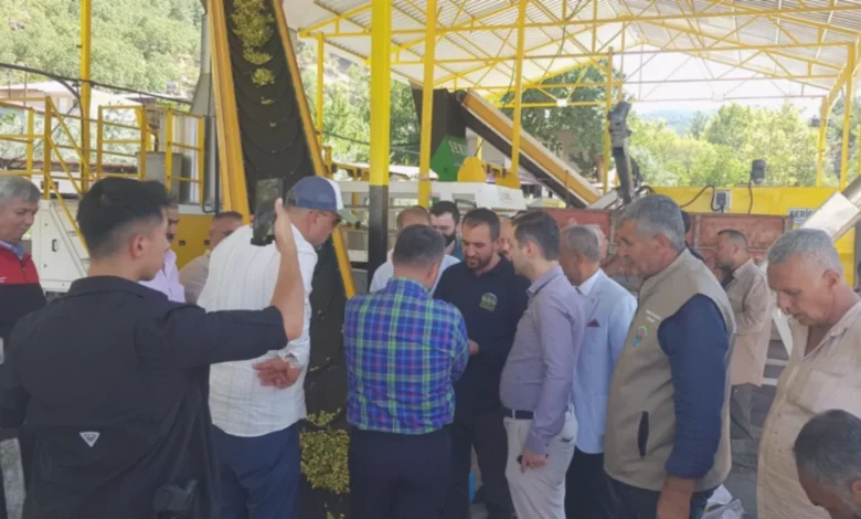 Antep Fıstığı İşleme - Antep Fıstığı İşleme: İslahiye'de Yeni Fıstık Tesisi Çift...