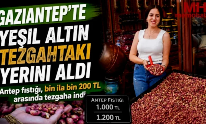 Antep fıstığı - Antep Fıstığı Tezgahlarda: Yeşil Altın Fiyatı Ne?