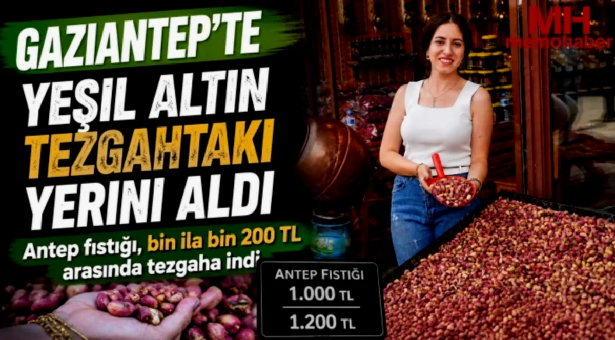 Antep Fıstığı Tezgahlarda: Yeşil Altın Fiyatı Ne?