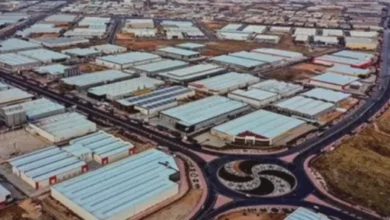 ayçiçeği tohumu - Ayçiçeği Tohumu Vergisi Düşüyor: Gaziantep Üretici Kazançlı