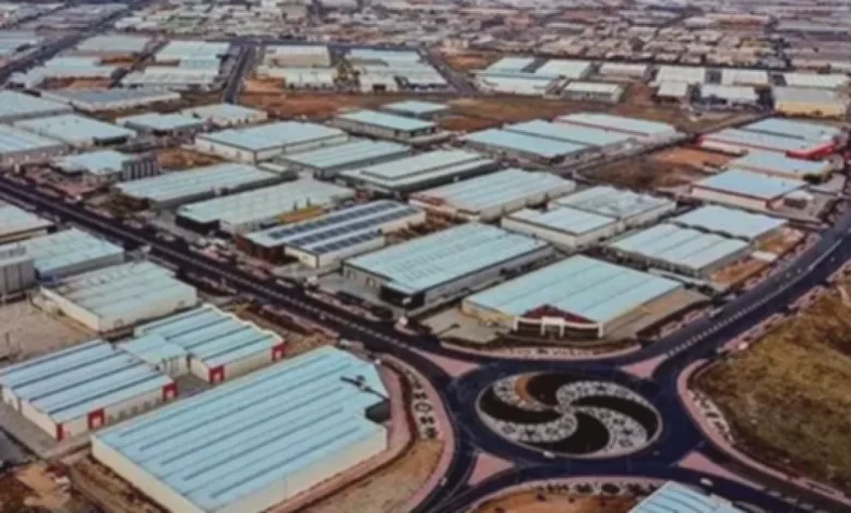 ayçiçeği tohumu - Ayçiçeği Tohumu Vergisi Düşüyor: Gaziantep Üretici Kazançlı