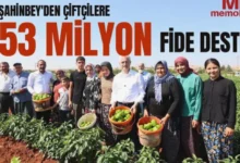 fide desteği - Fide Desteği: 53 Milyonlu Hasat!