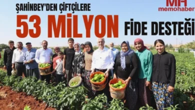 fide desteği - Fide Desteği: 53 Milyonlu Hasat!