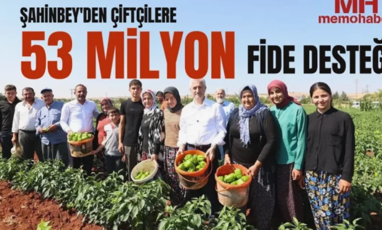 fide desteği - Fide Desteği: 53 Milyonlu Hasat!