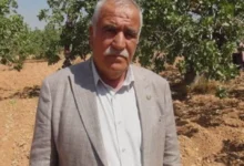 fıstık hırsızlığı - Fıstık Bahçelerinde Güvenlik: Devlet Nöbeti