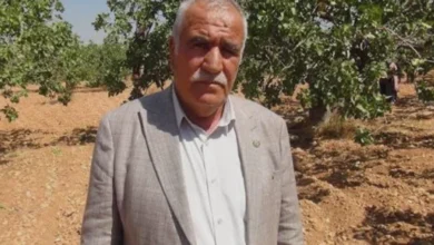 fıstık hırsızlığı - Fıstık Bahçelerinde Güvenlik: Devlet Nöbeti