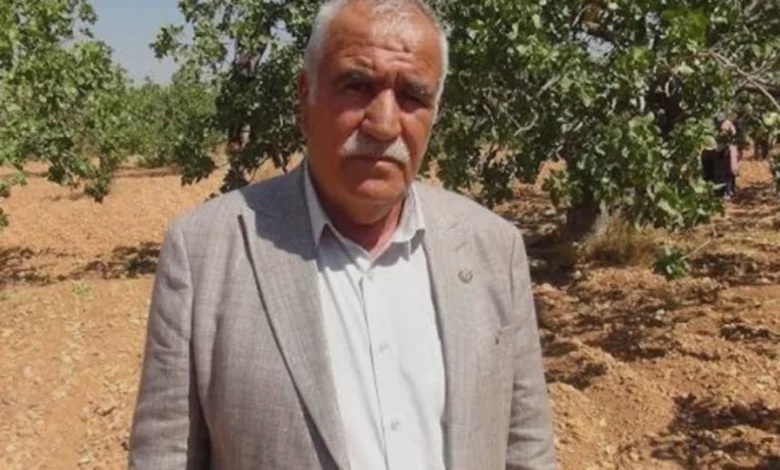 fıstık hırsızlığı - Fıstık Bahçelerinde Güvenlik: Devlet Nöbeti