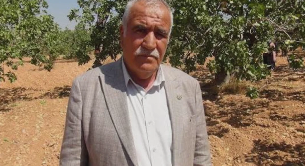 Fıstık Bahçelerinde Güvenlik: Devlet Nöbeti