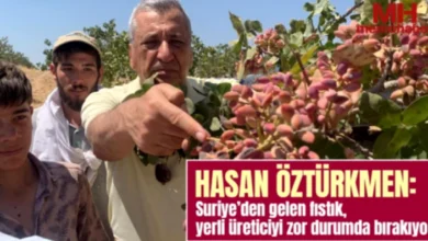 fıstık üreticisi - Fıstık Üreticisi Üzerine Suriye Baskısı