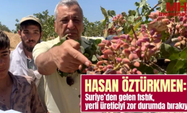 fıstık üreticisi - Fıstık Üreticisi Üzerine Suriye Baskısı