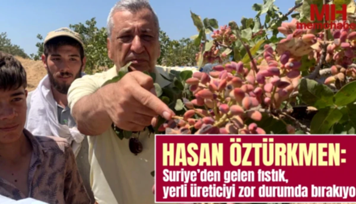 Fıstık Üreticisi Üzerine Suriye Baskısı