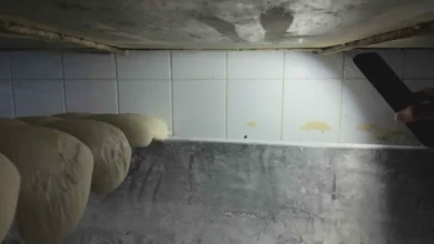 gaziantep fırında böcek - Gaziantep Fırında Böcek: Böcek Paniği - Fırın 7 Günlük Ka...