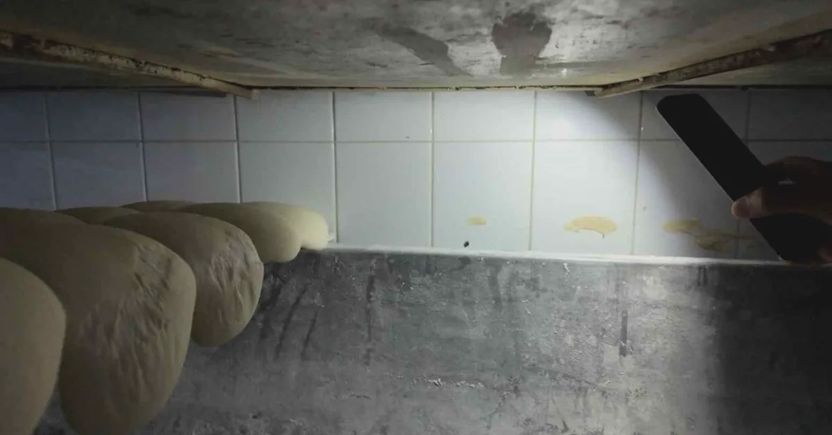 Gaziantep Fırında Böcek: Böcek Paniği - Fırın 7 Günlük Ka...