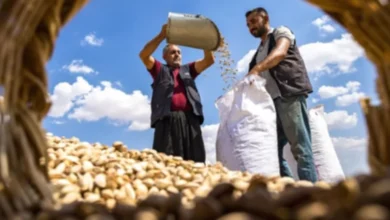 Gaziantep Fotoğraf Yarışması - Gaziantep Fotoğraf Yarışması: Gaziantep'te Objektifler Ta...