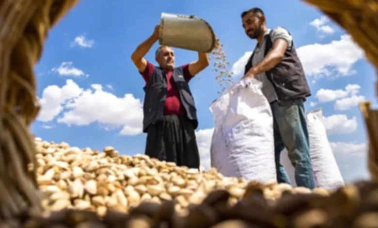 Gaziantep Fotoğraf Yarışması - Gaziantep Fotoğraf Yarışması: Gaziantep'te Objektifler Ta...