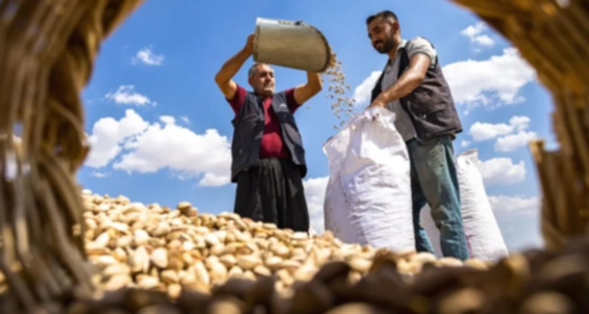 Gaziantep Fotoğraf Yarışması: Gaziantep'te Objektifler Ta...