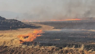 Gaziantep kırsalı alevler - Gaziantep Kırsalı: Alevler Küllere Döndü