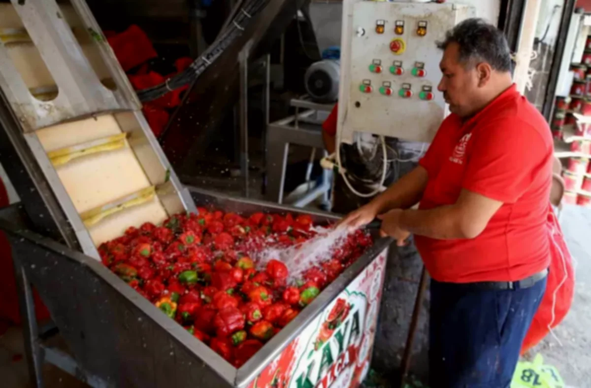 Gaziantep Salça Mesaisi Başladı: Kışa Hazırlık