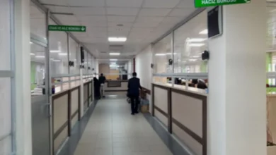 incir bahçesi - Gaziantep'te İncir Bahçesi Satışa Çıktı