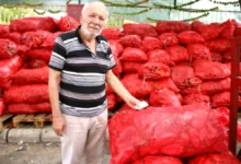 kışlık salça - Gaziantep'te Kışlık Salça Heyecanı Başladı