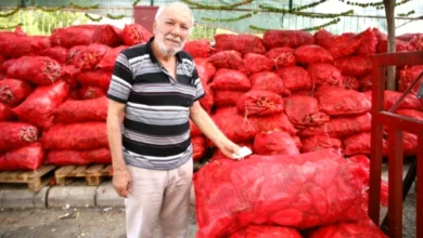 kışlık salça - Gaziantep'te Kışlık Salça Heyecanı Başladı