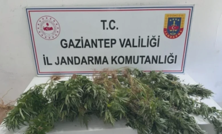 uyuşturucu operasyonu - Gaziantep'te Uyuşturucu Operasyonu: 9 Gözaltı