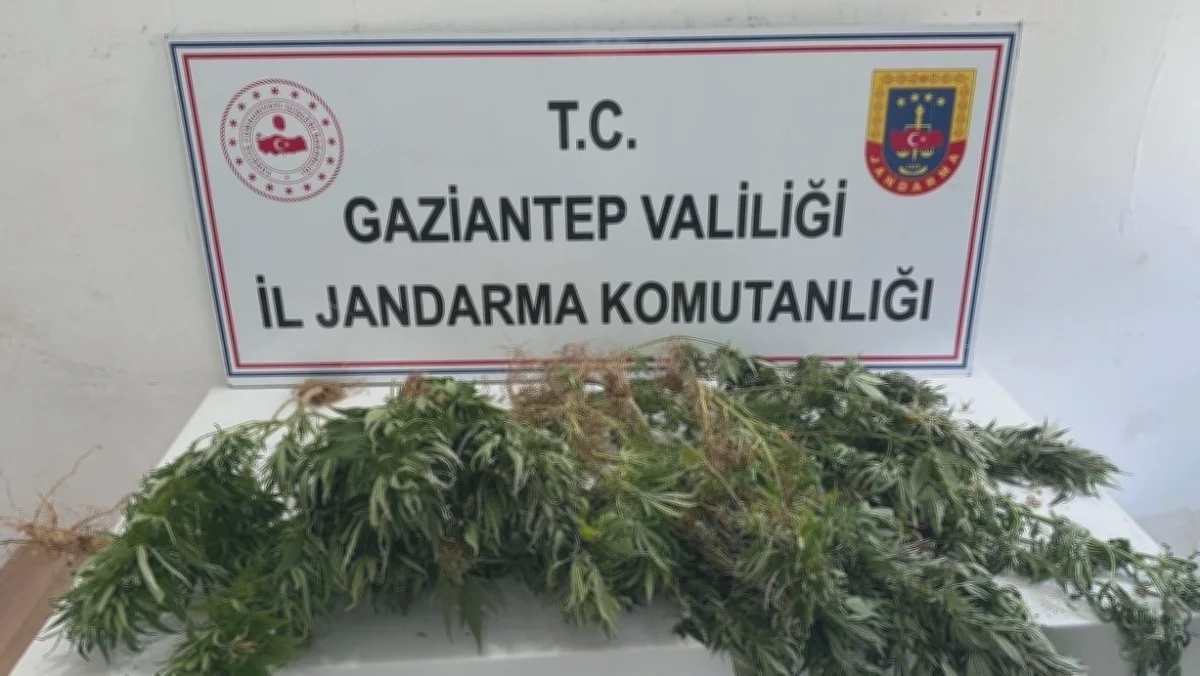 Gaziantep'te Uyuşturucu Operasyonu: 9 Gözaltı